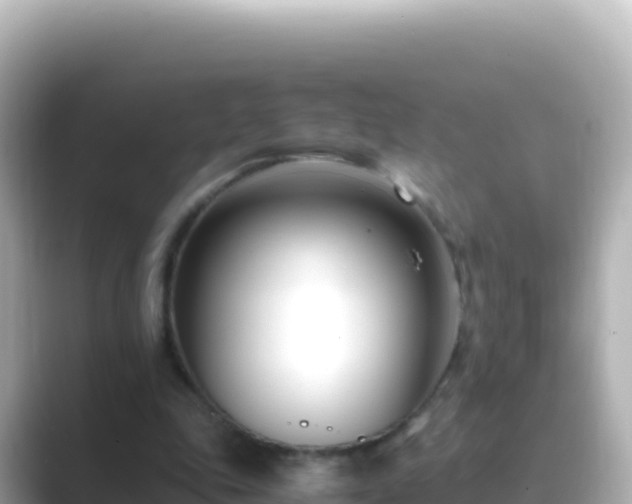 X0000089430343200706221215