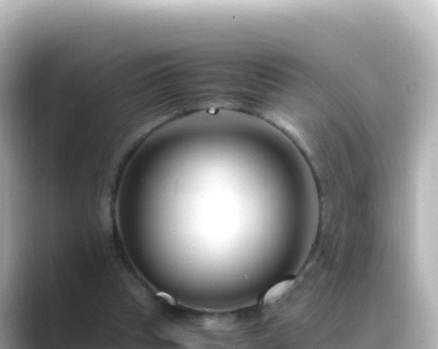 X0000089430345200706221215