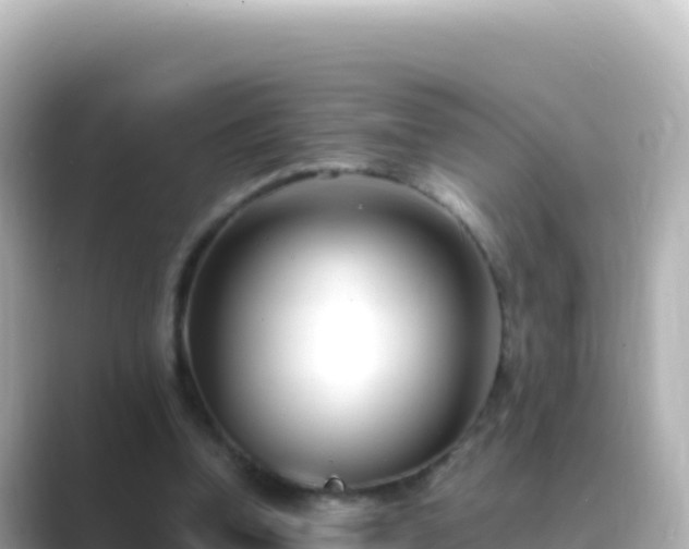 X0000089430346200706221215