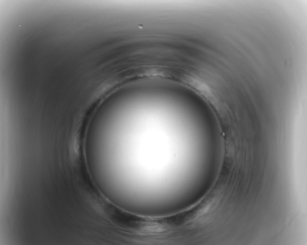 X0000089430347200706221215
