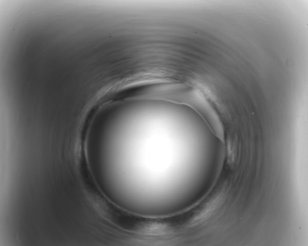 X0000089430348200706221215