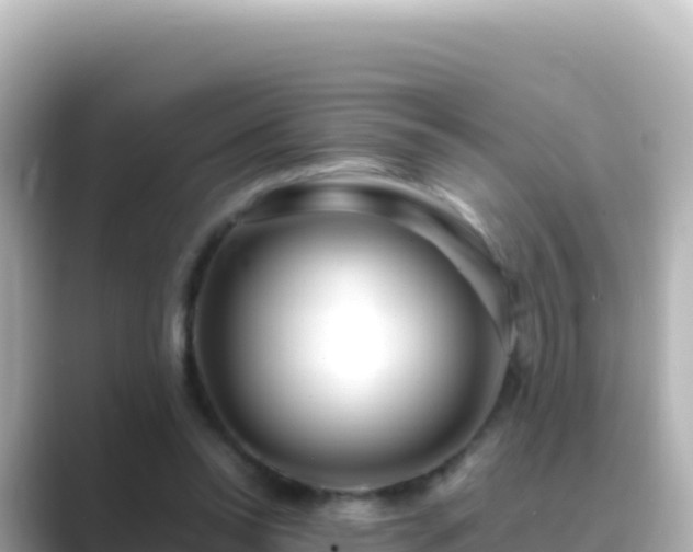 X0000089430350200706221215