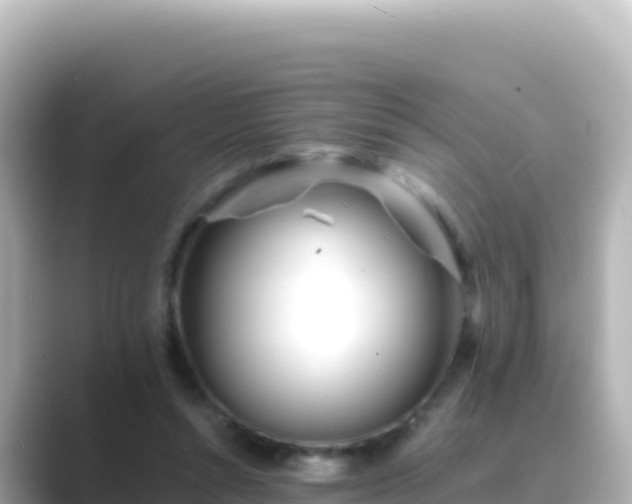 X0000089430352200706221215