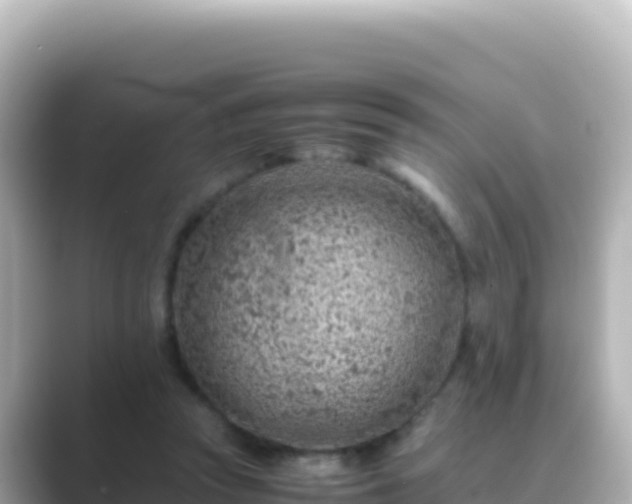 X0000089430353200706221215