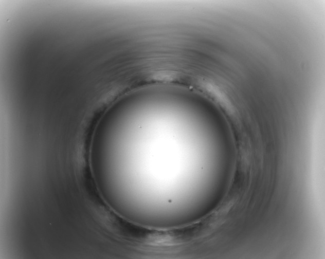X0000089430354200706221215