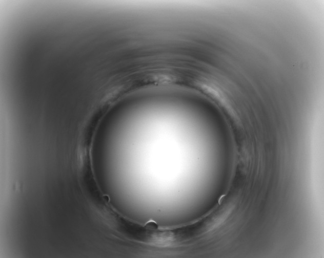 X0000089430355200706221215