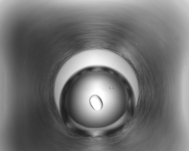 X0000089430356200706221215