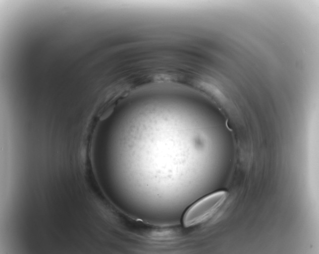 X0000089430357200706221215