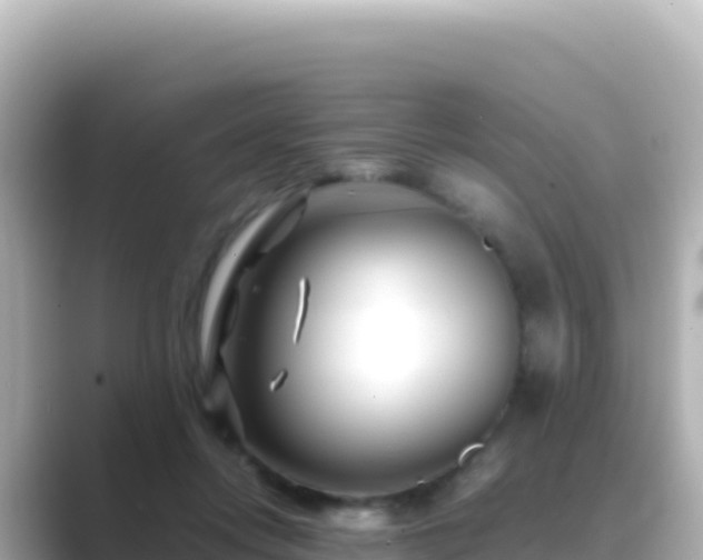 X0000089430358200706221215