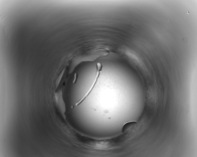 X0000089430361200706221215