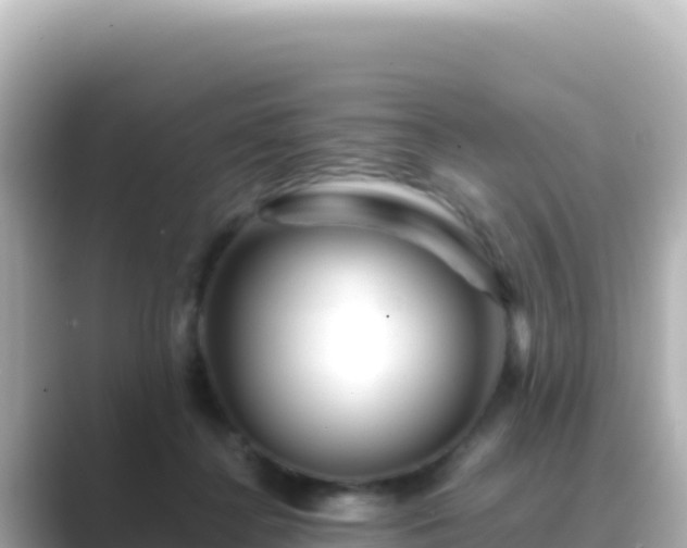 X0000089430364200706221215