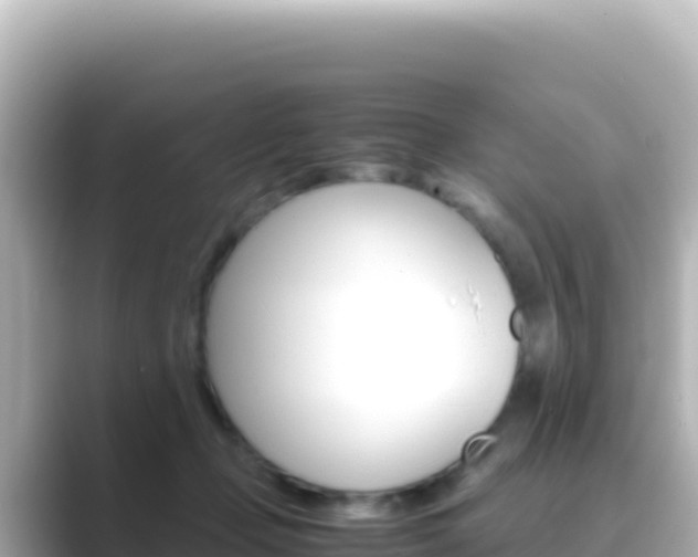 X0000089430365200706221215