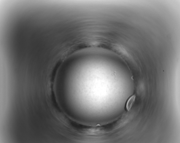 X0000089430366200706221215