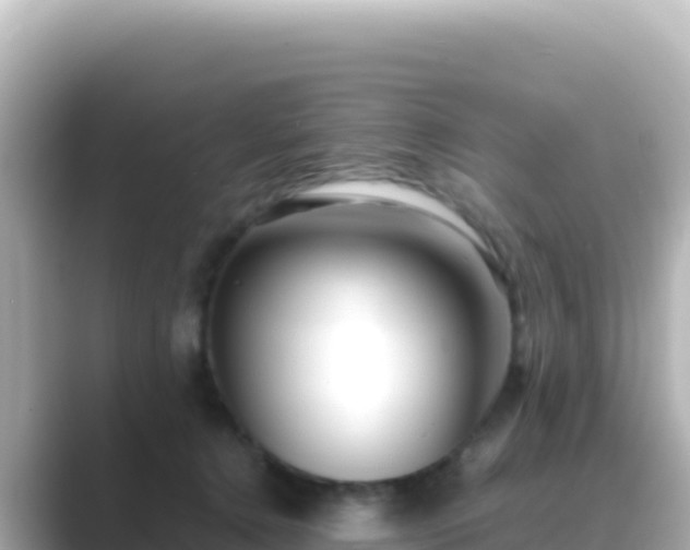 X0000089430368200706221215