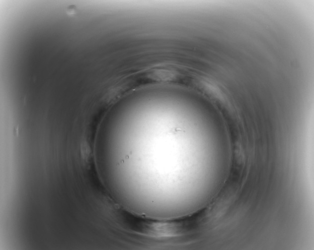 X0000089430371200706221215