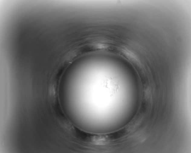 X0000089430373200706221215