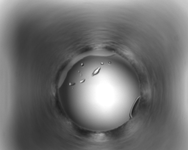 X0000089430374200706221215