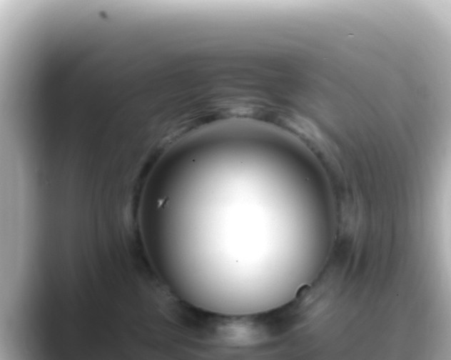 X0000089430377200706221215