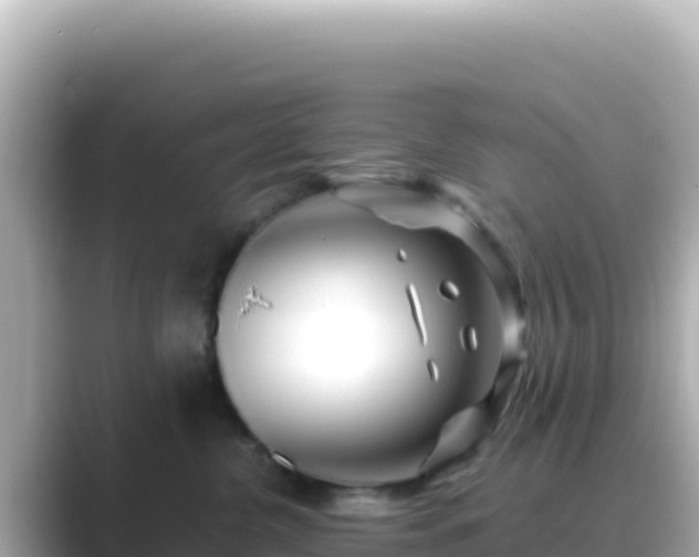 X0000089430380200706221215