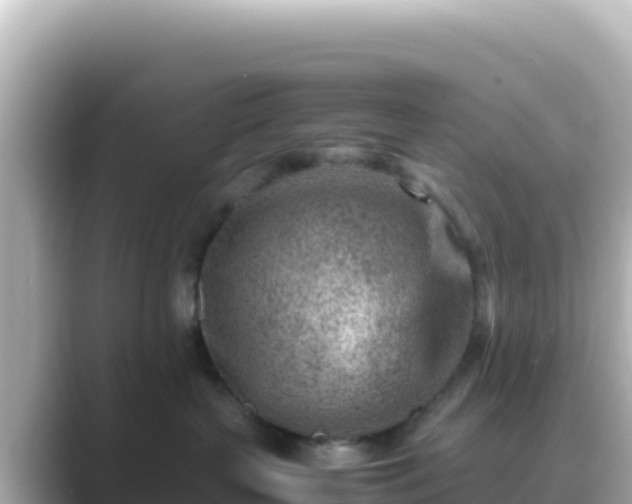 X0000089430383200706221215