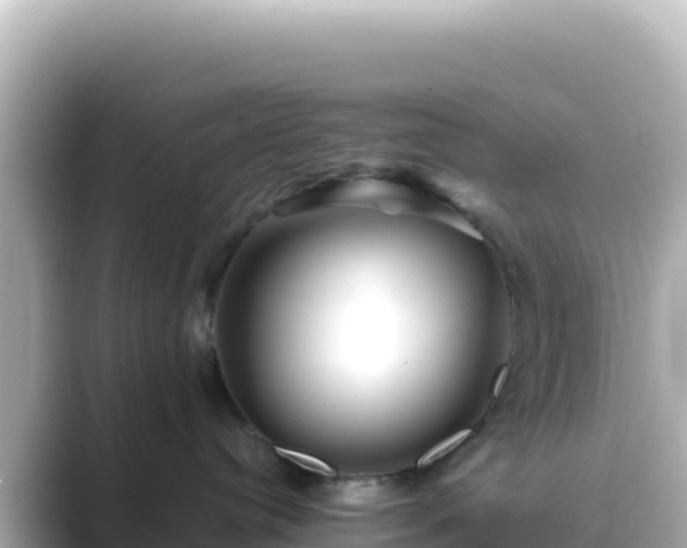 X0000089430384200706221215