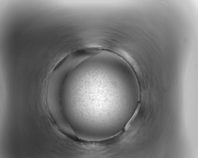 X0000089430385200706221215