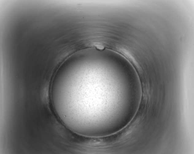 X0000089430386200706221215