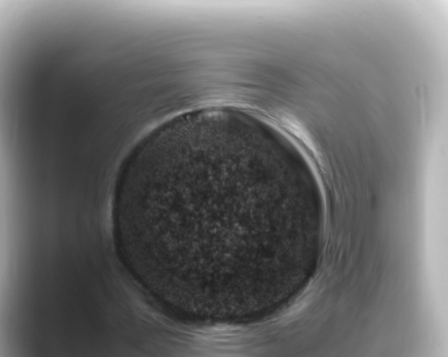 X0000089430387200706221215