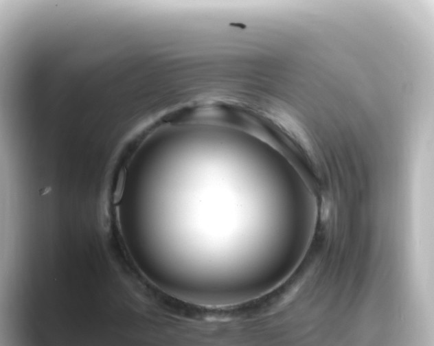 X0000089430388200706221215