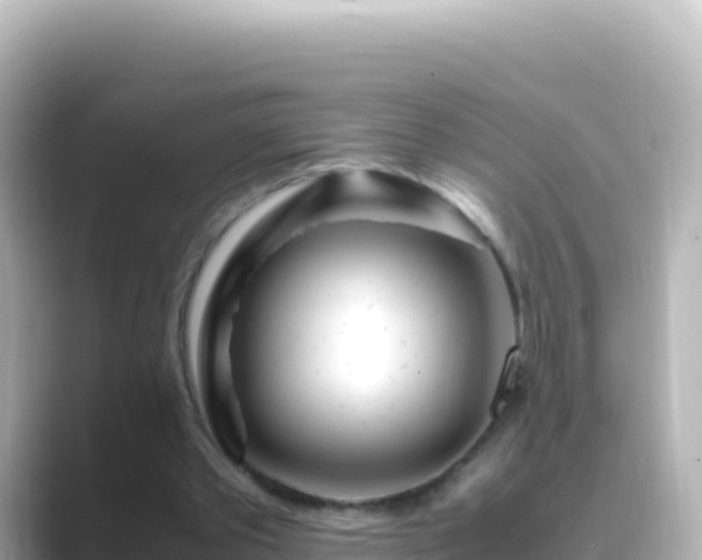 X0000089430389200706221215