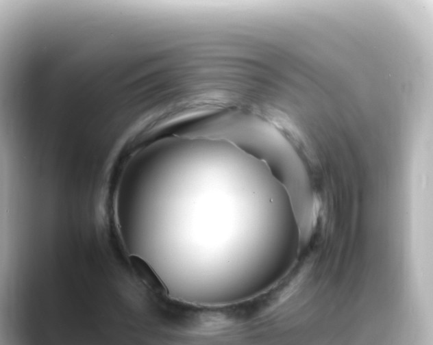 X0000089430392200706221215