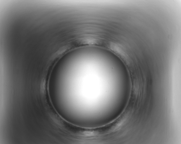 X0000089430394200706221215