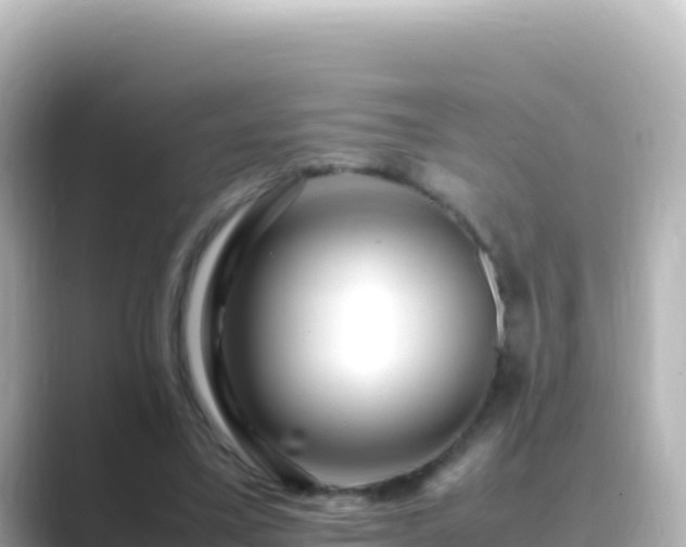 X0000089430395200706221215