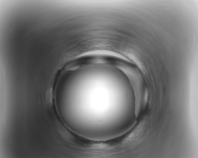 X0000089430397200706221215