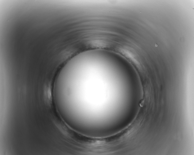 X0000089430398200706221215