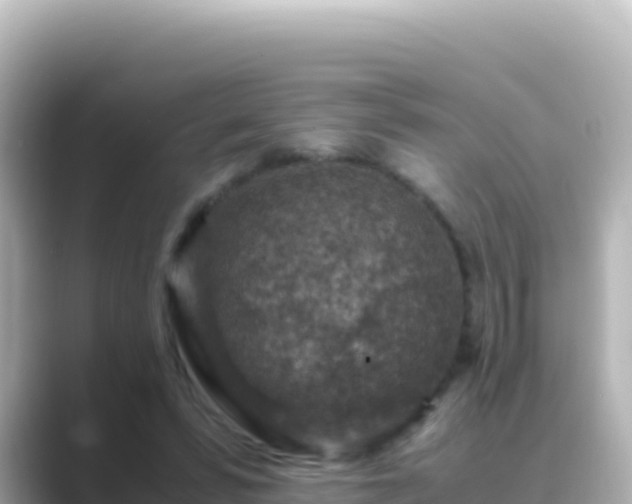 X0000089430399200706221215