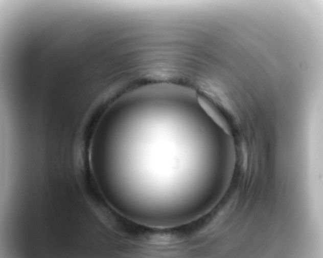 X0000089430400200706221215