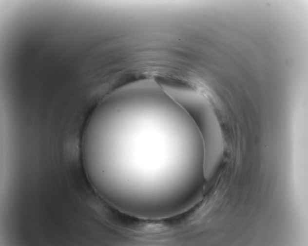 X0000089430401200706221215