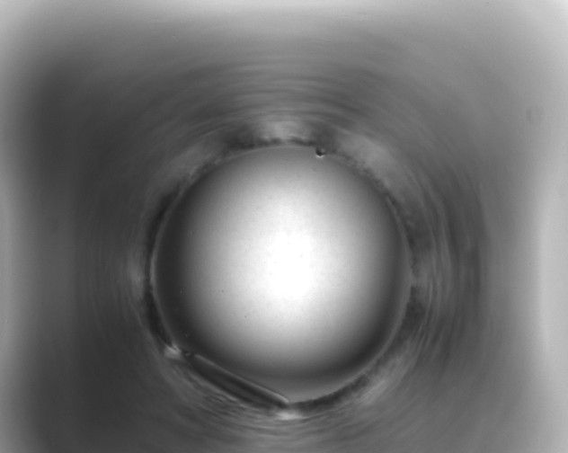X0000089430402200706221215