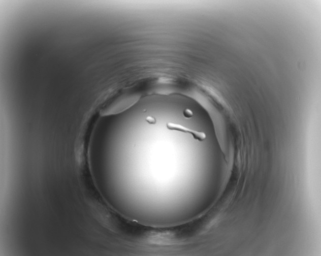 X0000089430403200706221215