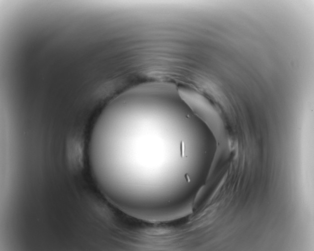 X0000089430404200706221215