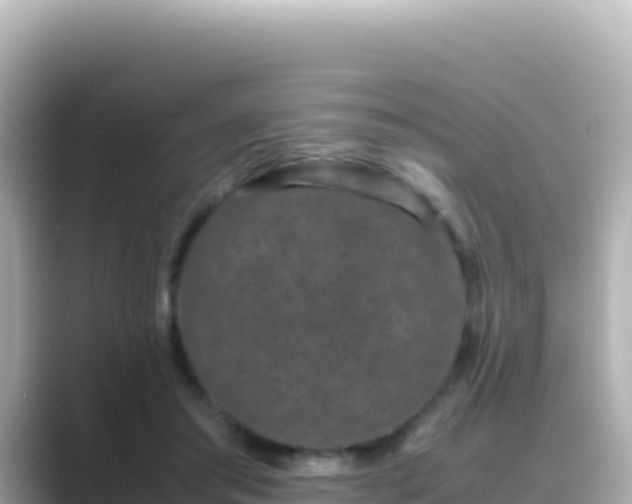 X0000089430405200706221215