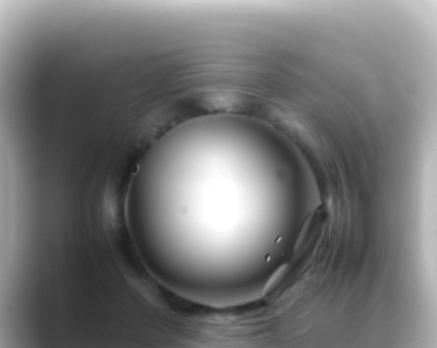 X0000089430408200706221215