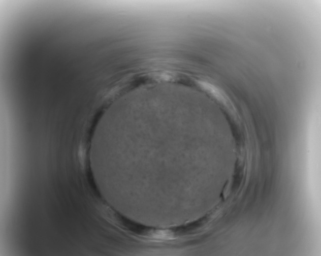 X0000089430409200706221215