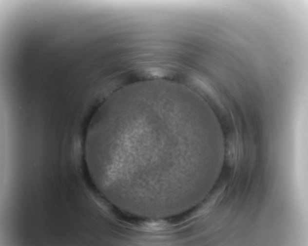 X0000089430410200706221215