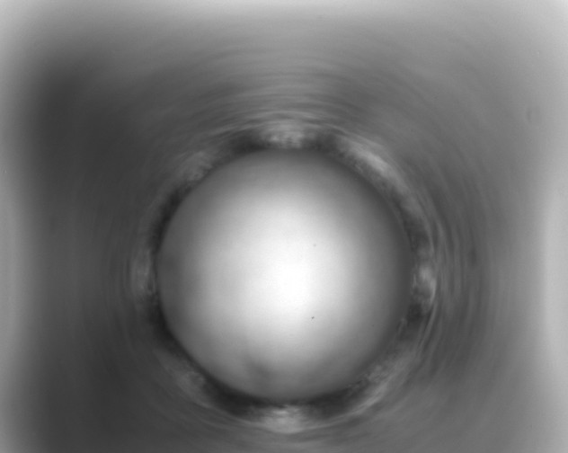 X0000089430411200706221215