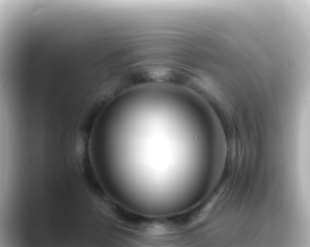 X0000089430412200706221215