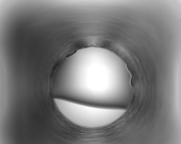 X0000089430413200706221215