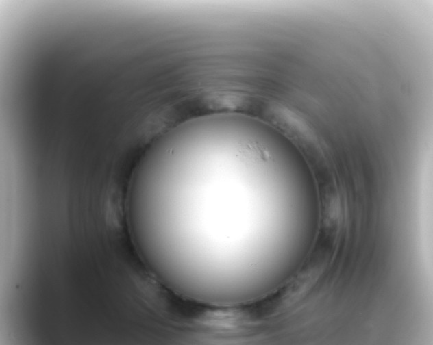 X0000089430414200706221215