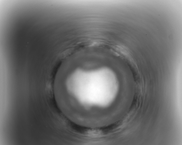 X0000089430415200706221215